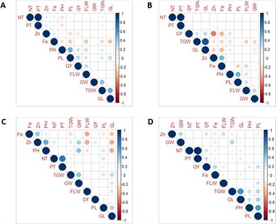 Molecular dissection of connected rice populations revealed important genomic regions for agronomic and biofortification traits